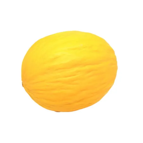 Melon Canari (pièce) Bio