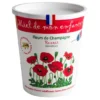 Miel toutes fleurs Champagne 500g