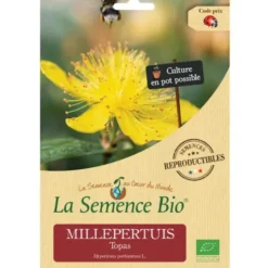 Millepertuis Topassemence 0,2g