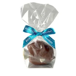 Moulage poissons tropicaux chocolat au lait 50g