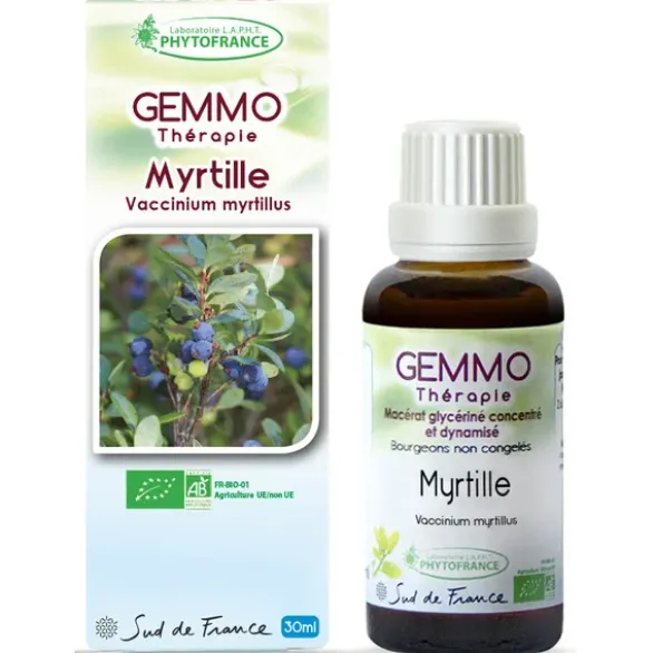 Myrtille (Vaccinium myrtillus) 30ml