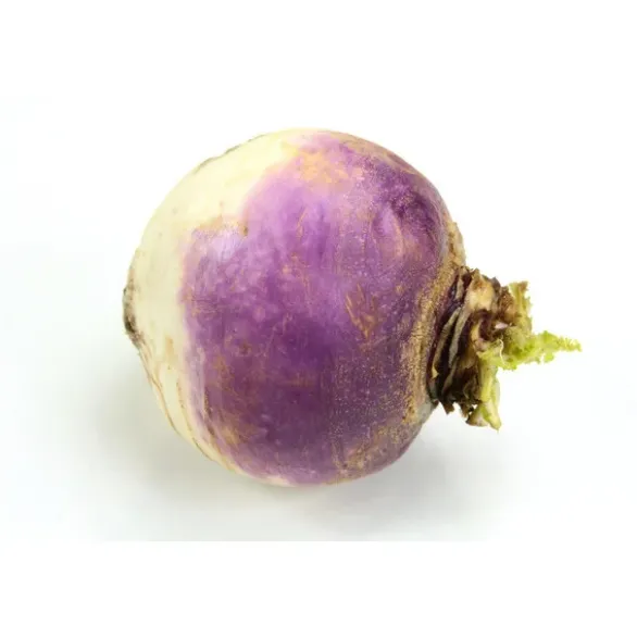 Navet Vrac Violet Bio