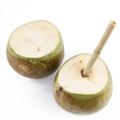 Noix De Coco Fraîche (pièce) Bio