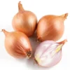 Oignon Rose Bio