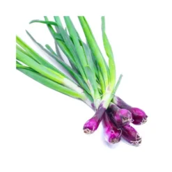 Oignon Rouge Botte Bio