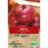 Oignon rouge Morada semence 1g