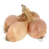Oignon Vrac Bio