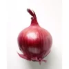 Oignon Vrac Rouge Bio