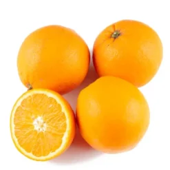 Orange Blonde à jus Bio