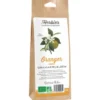 Oranger bouton sachet 20g