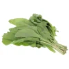 Oseille botte Bio