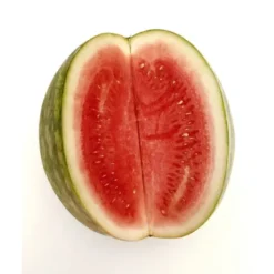 Pastèque (entière) Bio