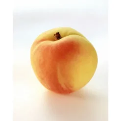 Pêche Blanche Bio