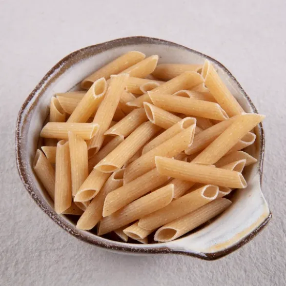 Penne 1/2 complet Bio