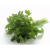 Persil Plat Bio