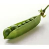 Petit Pois Bio