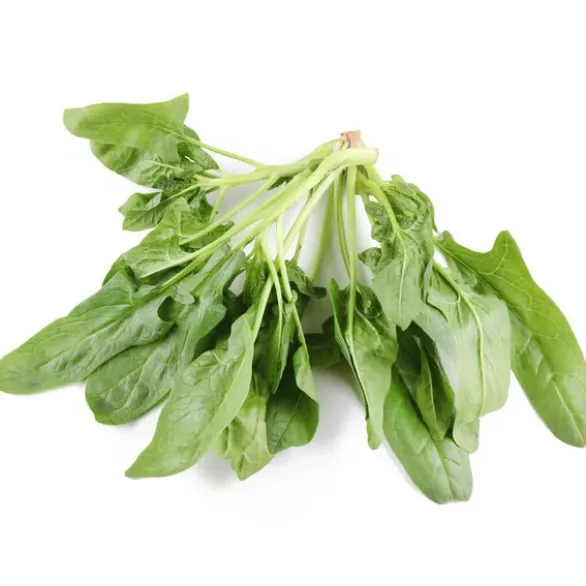 Épinard Feuille Bio