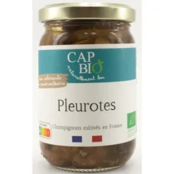 Pleurotes 100g net égoutté