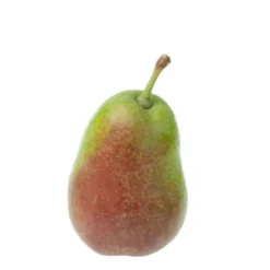 Poire Louise Bonne Bio