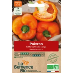 Poivron California Wonder orange semence 0,13g
