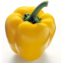 Poivron Jaune Bio