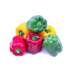 Poivron Multicolore Bio