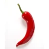 Poivron Piment Bio