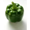 Poivron Vert Bio