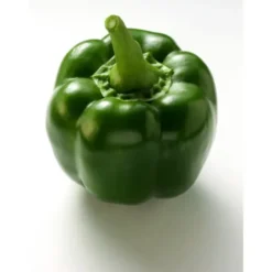 Poivron Vert Bio