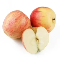 Pomme Bicolore Bio