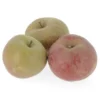 Pomme Boskoop Bio