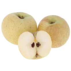 Pomme Chanteclerc Bio