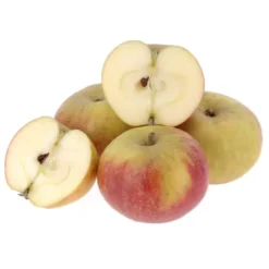Pomme Cox, Suntan Bio