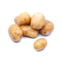 Pomme de terre de consommation à chair fermeOstara Bio