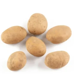 Pomme de terre de consommationBio