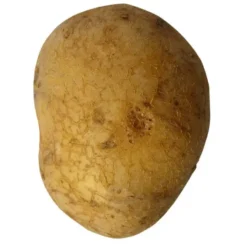 Pomme de terre de consommation à chair fermeDitta Bio