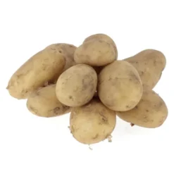 Pomme de terre de consommation à chair fermeStarlette Bio