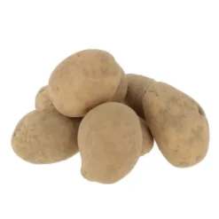 Pomme de terre de consommationAgria Bio