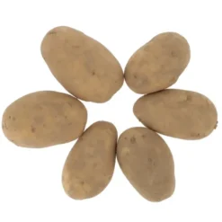Pomme de terre de consommationBleu Maïwen Bio