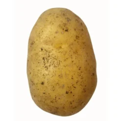 Pomme de terre de consommation à chair fermeNicola Bio