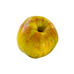 Pomme Drap d'Or Bio