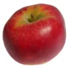 Pomme Elstar Bio