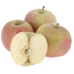 Pomme Fuji Bio