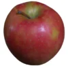 Pomme Jubilé Bio