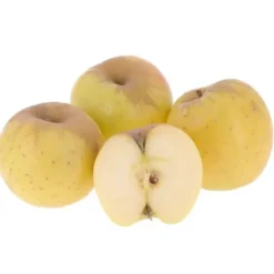 Pomme Opale Bio