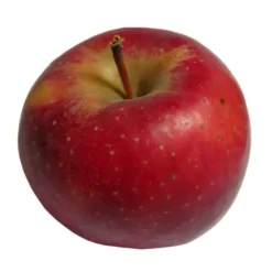 Pomme Red Star Bio