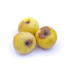 Pomme Reinettes Blanche du Vigan Bio