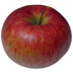 Pomme Reinettes d'Anjou Bio