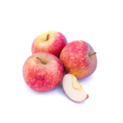 Pomme Rubinstep Bio