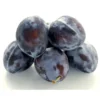 Prune Bio